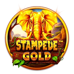 falcon play casino login how much to bet soccer