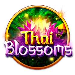 pp666 casino what is a c bet